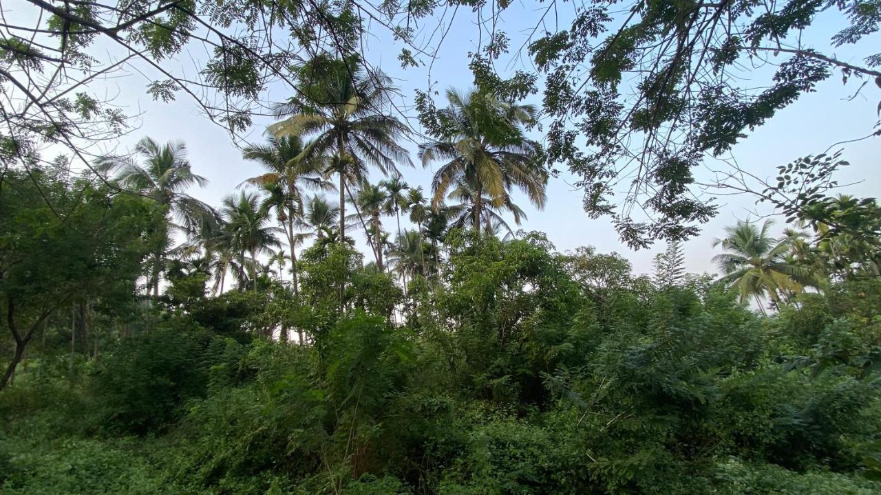 Lermitage Farms Kashid Alibaug Exterior foto